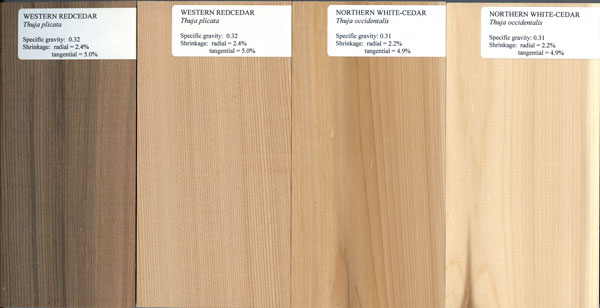 Northern white cedar lumber