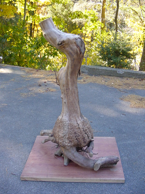 Madrone Sculpture
