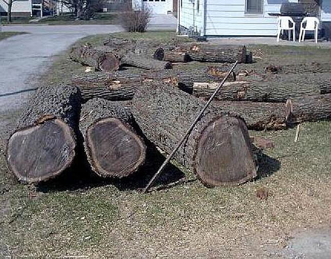 Where To Get Free Logs